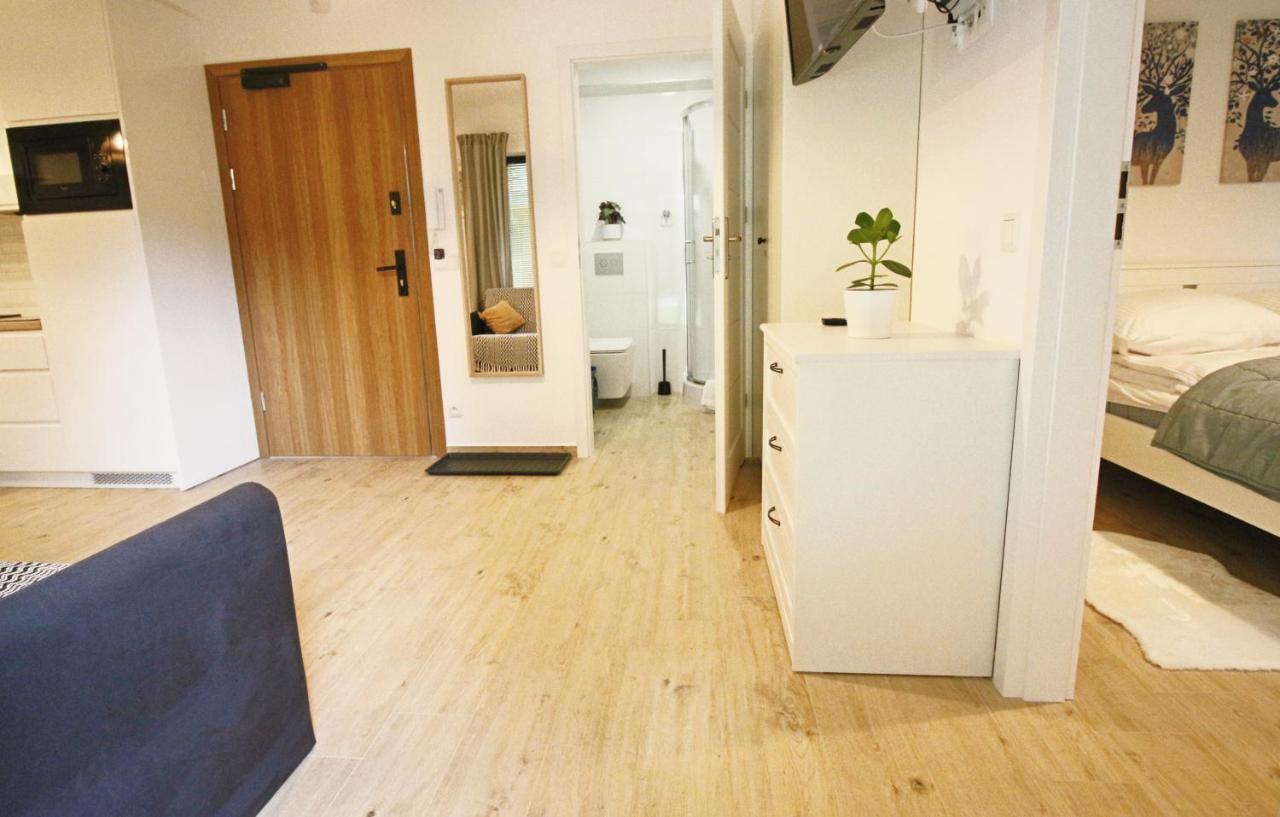 Apartment Bazatatry Kozica Закопане Екстериор снимка